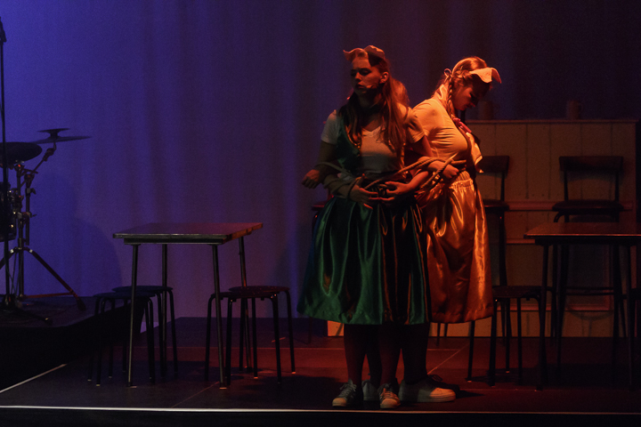 Musical "De 3 Biggetjes" gebracht door Wysiwyg @ CC De Mol, picture 19, photographed by Alex Wyckmans - FrontView Magazine