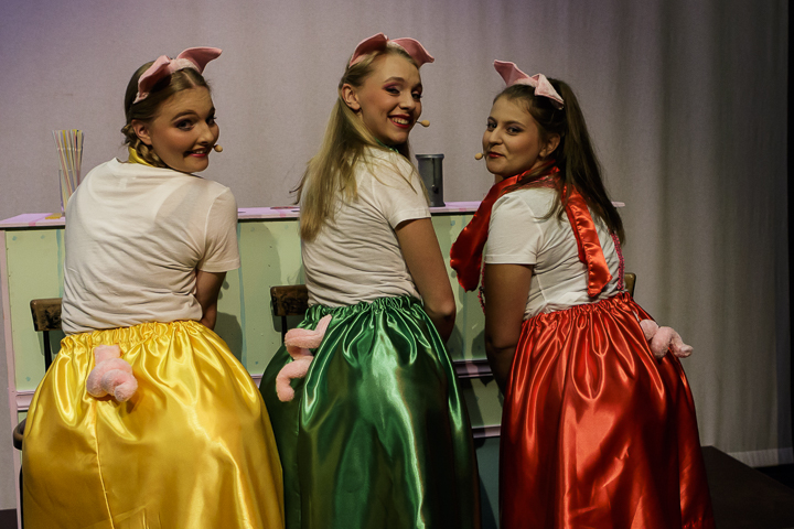 Musical "De 3 Biggetjes" gebracht door Wysiwyg @ CC De Mol, picture 25, photographed by Alex Wyckmans - FrontView Magazine