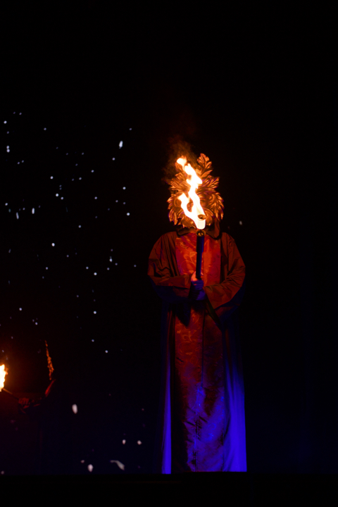 Lord of the Dance @ Lotto Arena, picture 4, photographed by Bart Baevegems - FrontView Magazine