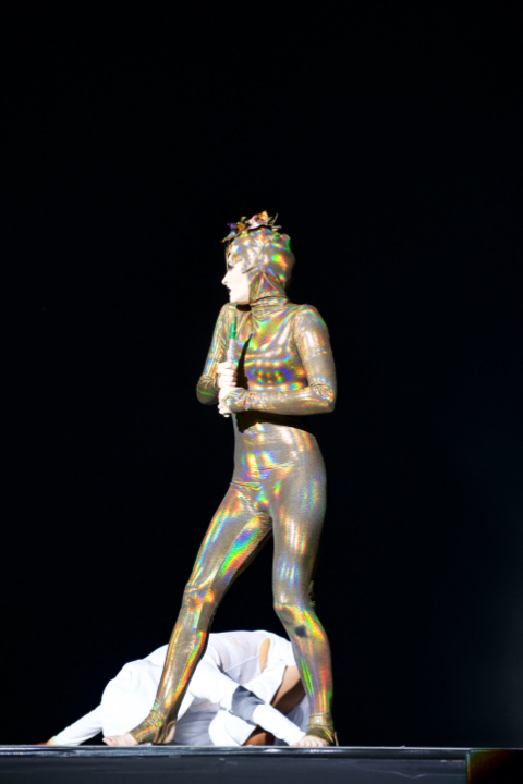 Lord of the Dance @ Lotto Arena, picture 7, photographed by Bart Baevegems - FrontView Magazine