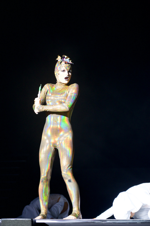 Lord of the Dance @ Lotto Arena, picture 8, photographed by Bart Baevegems - FrontView Magazine