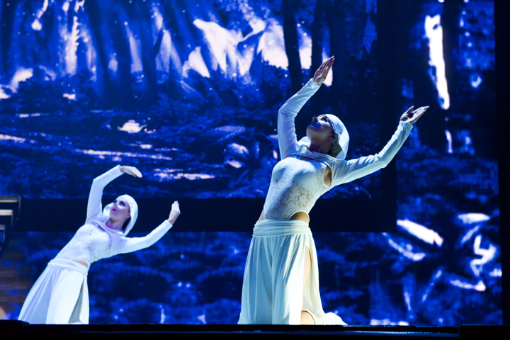 Lord of the Dance @ Lotto Arena, picture 11, photographed by Bart Baevegems - FrontView Magazine