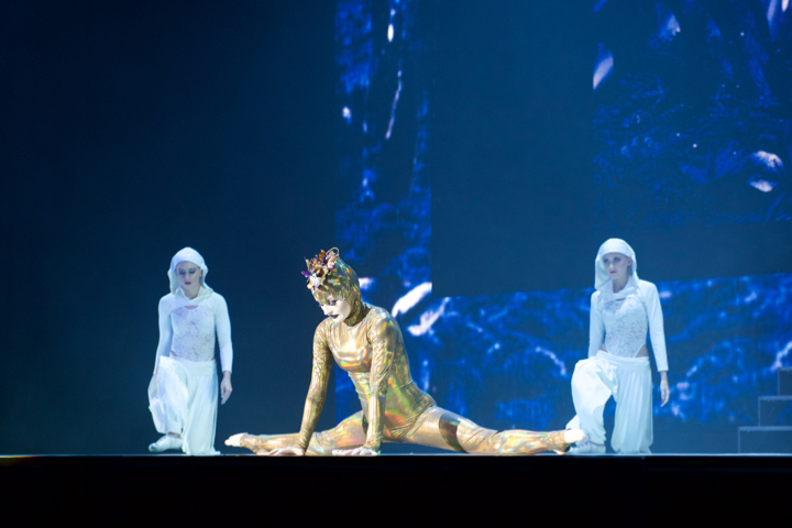Lord of the Dance @ Lotto Arena, picture 12, photographed by Bart Baevegems - FrontView Magazine