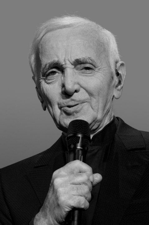 Charles Aznavour Lotto Arena, picture 9, photographed by Bart Baevegems - FrontView Magazine