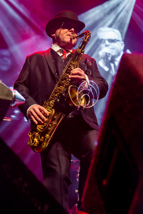 Madness @ 013, picture 6, photographed by Erwin Evrard - FrontView Magazine