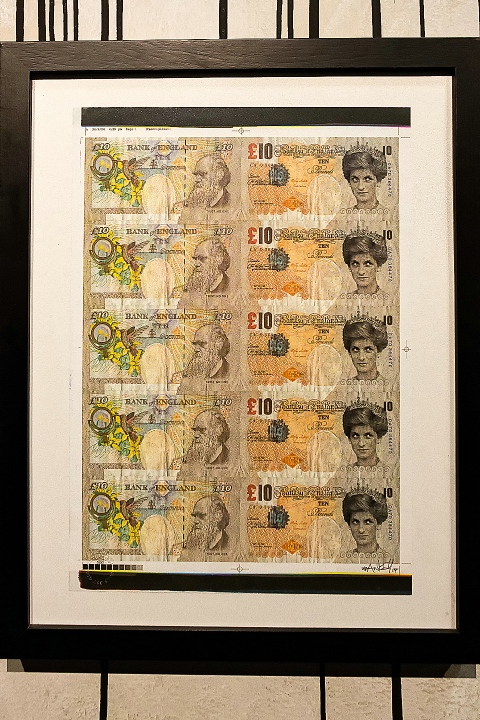 Banksy Expo @ Stadsfeestzaal Antwerpen, picture 13, photographed by Edwin Houdevelt - FrontView Magazine