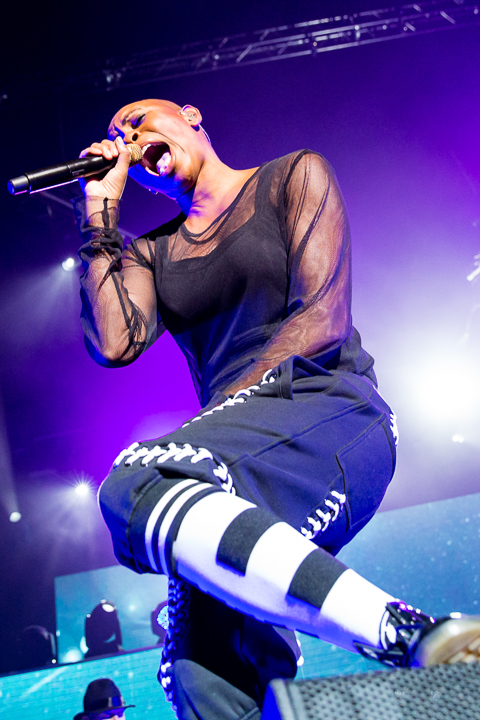 Skunk Anansie @ Lotto Arena, foto 17, foto's door Dorien Goetschalckx - FrontView Magazine