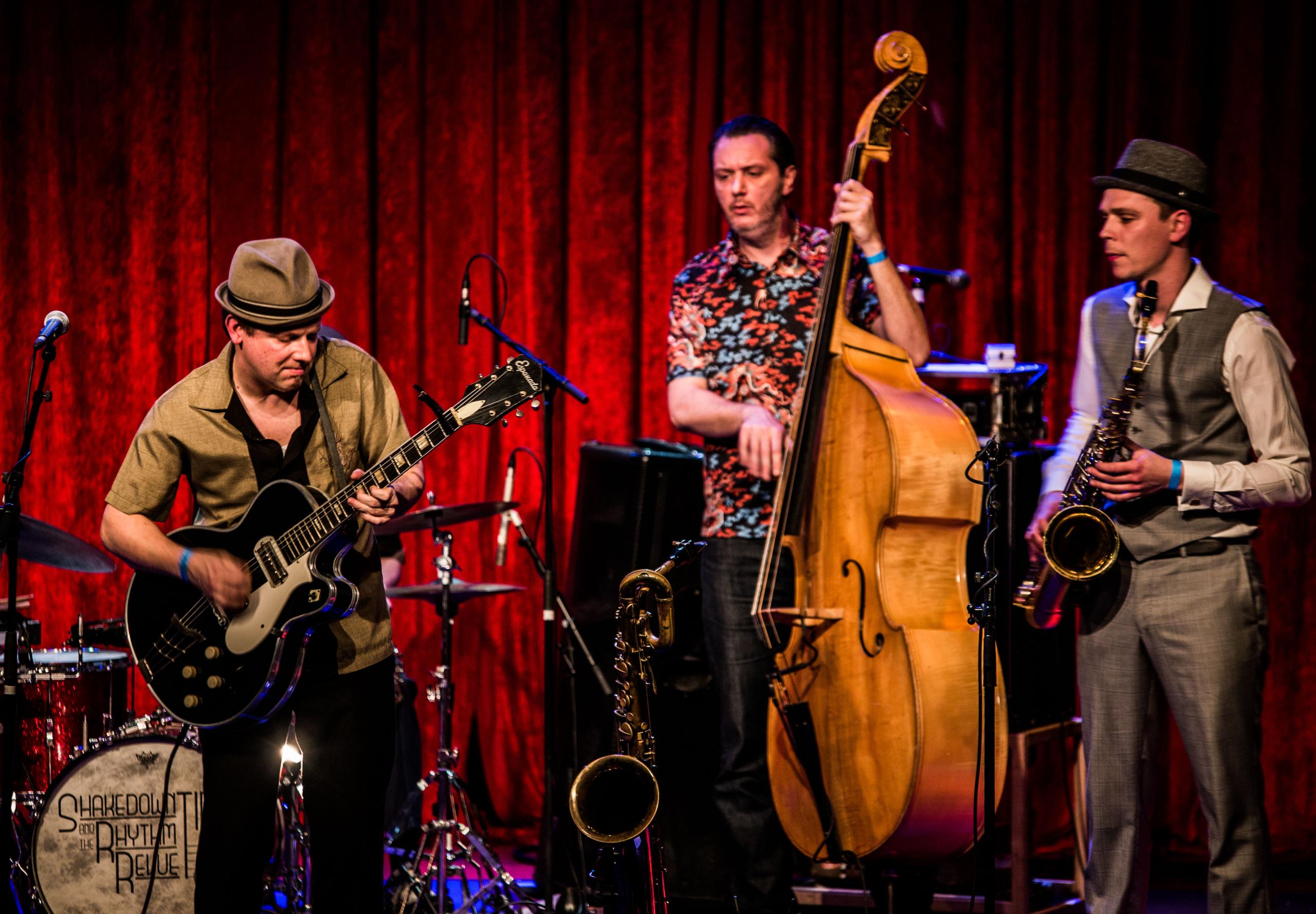 Hageland Blues & Roots Night @ CC De Roos ~ Glabbeek, picture 6, photographed by Raf Degeest - FrontView Magazine