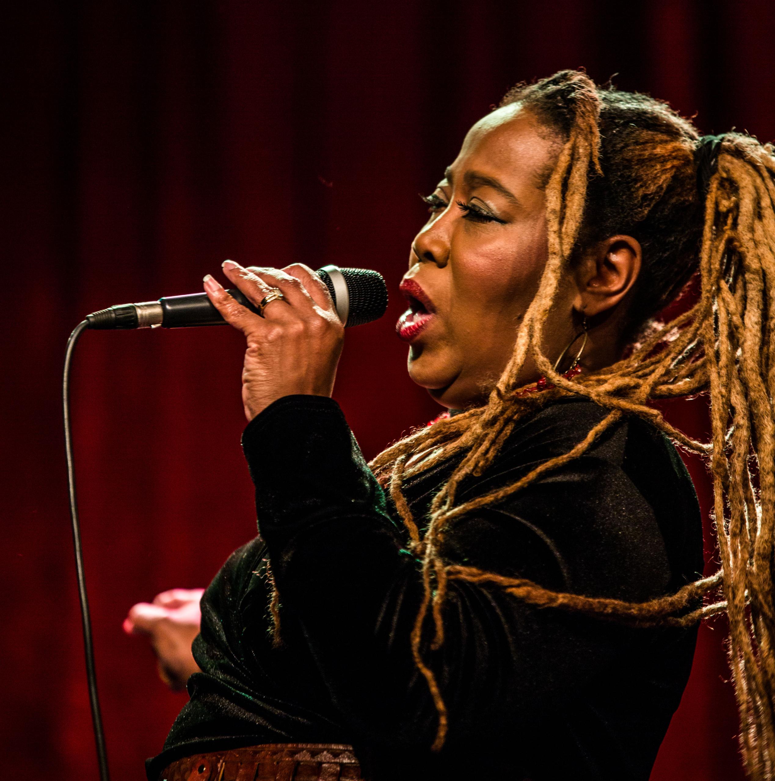 Hageland Blues & Roots Night @ CC De Roos ~ Glabbeek, picture 16, photographed by Raf Degeest - FrontView Magazine