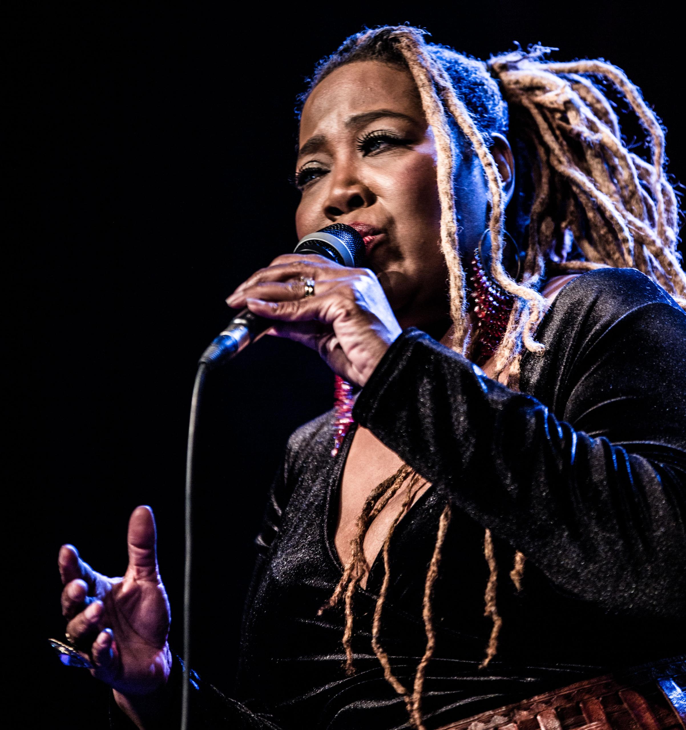 Hageland Blues & Roots Night @ CC De Roos ~ Glabbeek, picture 22, photographed by Raf Degeest - FrontView Magazine