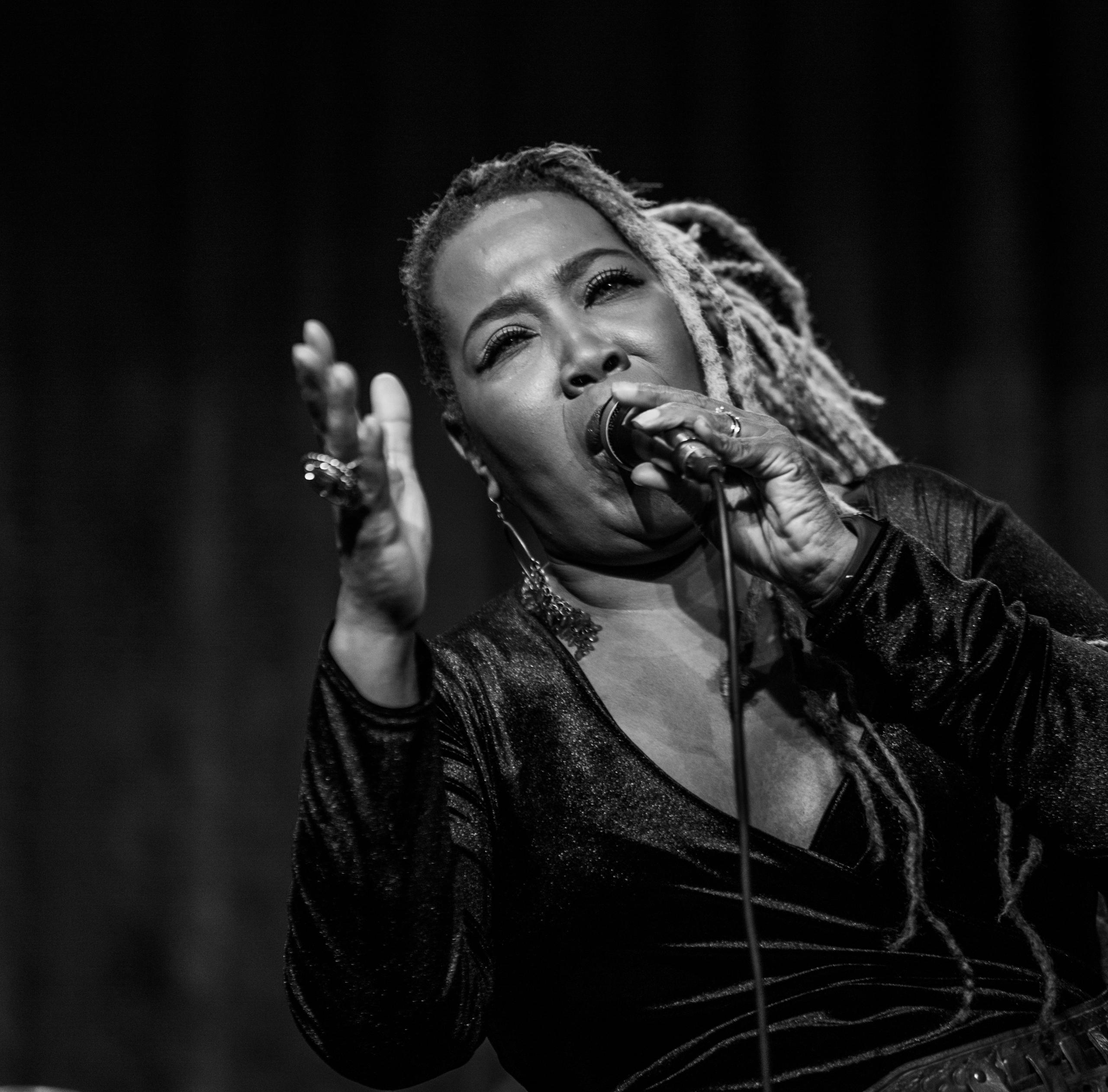 Hageland Blues & Roots Night @ CC De Roos ~ Glabbeek, picture 27, photographed by Raf Degeest - FrontView Magazine