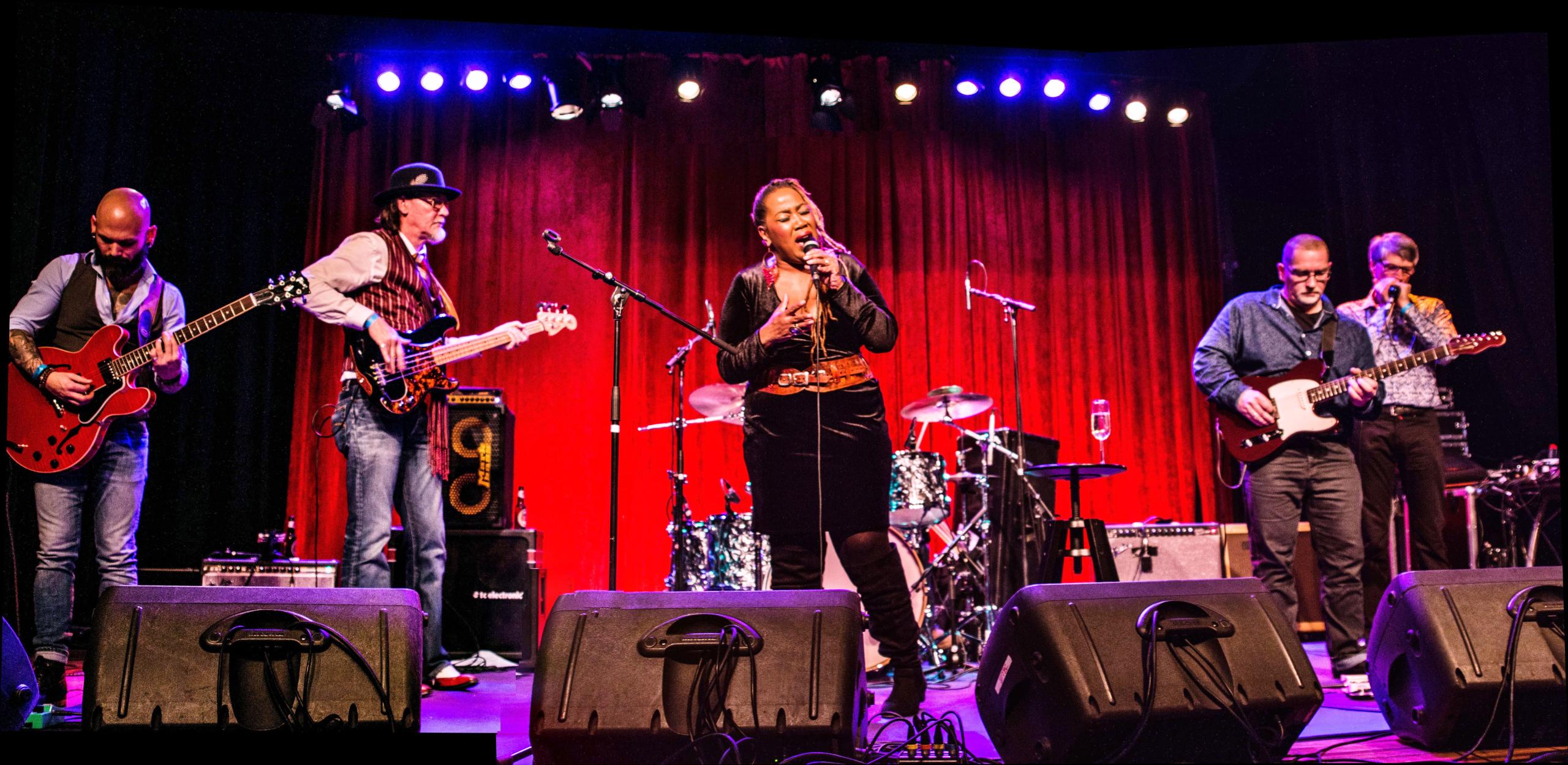 Hageland Blues & Roots Night @ CC De Roos ~ Glabbeek, picture 32, photographed by Raf Degeest - FrontView Magazine