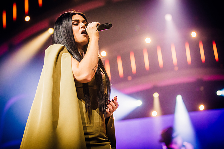 Holland Zingt Hazes 2017 @ Ziggo Dome, foto 4, foto's door Elke Briers - FrontView Magazine