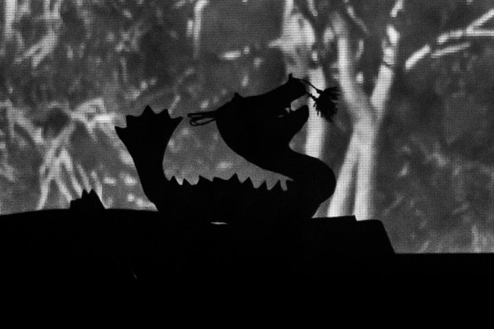 Chinese Man @ Ancienne Belgique, picture 1, photographed by Dieter  Boone - FrontView Magazine