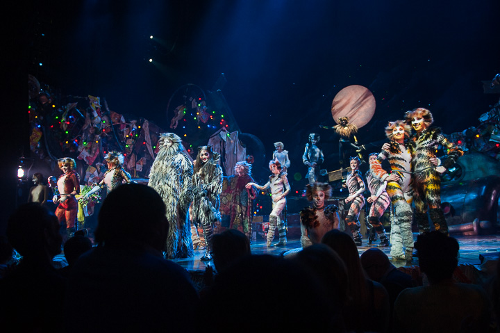 Première Cats @ Elisabethzaal Antwerpen, picture 11, photographed by Goele Bormans - FrontView Magazine