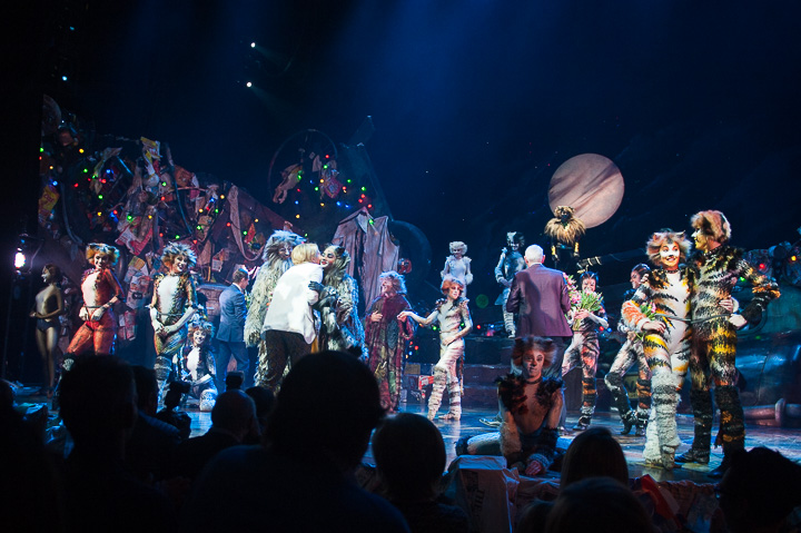 Première Cats @ Elisabethzaal Antwerpen, picture 12, photographed by Goele Bormans - FrontView Magazine