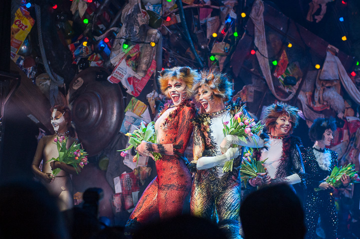 Première Cats @ Elisabethzaal Antwerpen, picture 13, photographed by Goele Bormans - FrontView Magazine