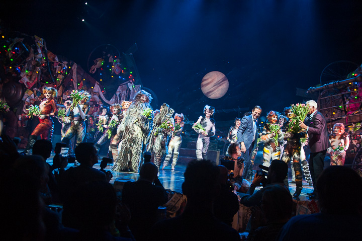 Première Cats @ Elisabethzaal Antwerpen, picture 16, photographed by Goele Bormans - FrontView Magazine