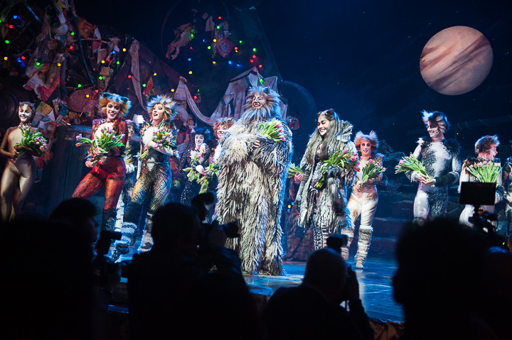 Première Cats @ Elisabethzaal Antwerpen, picture 17, photographed by Goele Bormans - FrontView Magazine