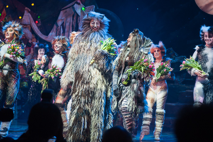 Première Cats @ Elisabethzaal Antwerpen, picture 18, photographed by Goele Bormans - FrontView Magazine