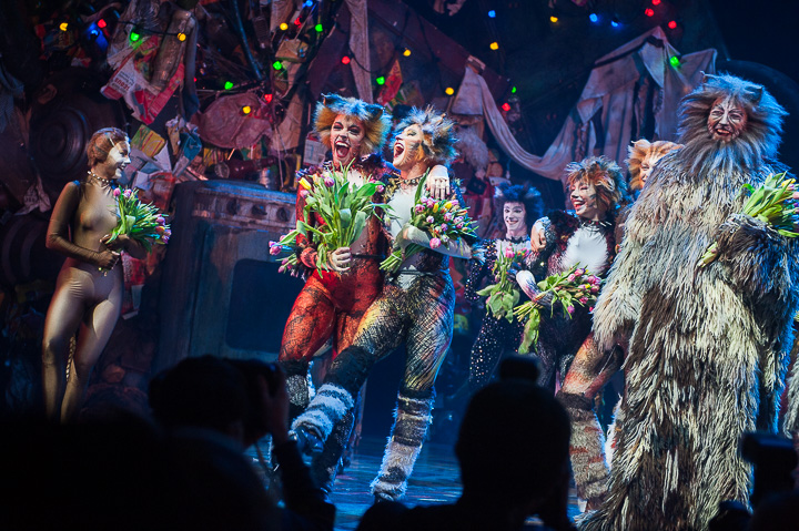 Première Cats @ Elisabethzaal Antwerpen, picture 19, photographed by Goele Bormans - FrontView Magazine