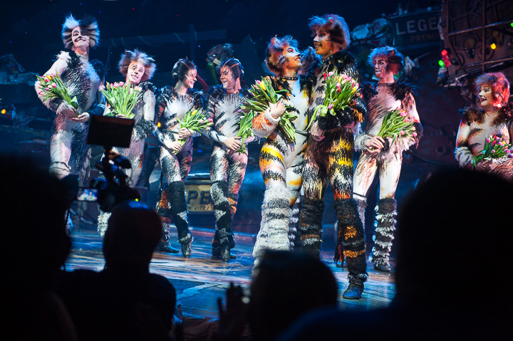 Première Cats @ Elisabethzaal Antwerpen, picture 20, photographed by Goele Bormans - FrontView Magazine