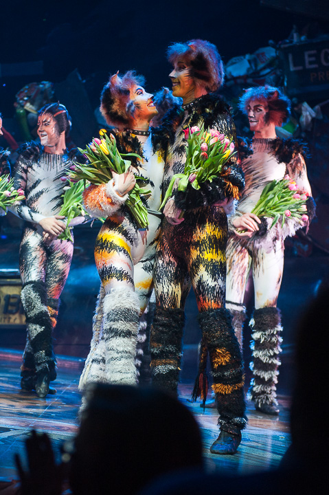 Première Cats @ Elisabethzaal Antwerpen, picture 21, photographed by Goele Bormans - FrontView Magazine