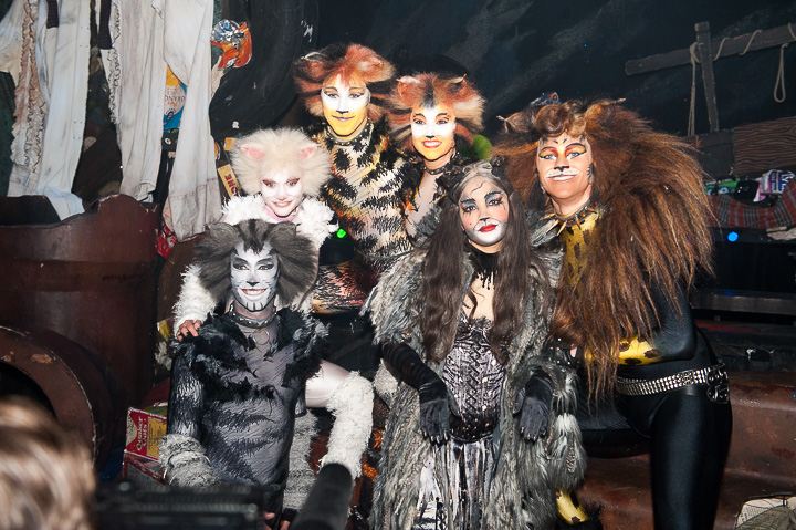 Première Cats @ Elisabethzaal Antwerpen, picture 31, photographed by Goele Bormans - FrontView Magazine