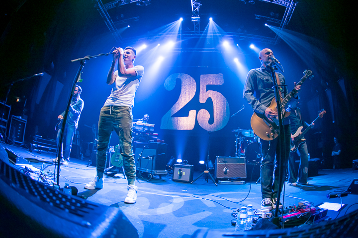 K's Choice "25th Anniversary Tour" @ Splendid Lille, picture 7, photographed by Anais Callens - FrontView Magazine