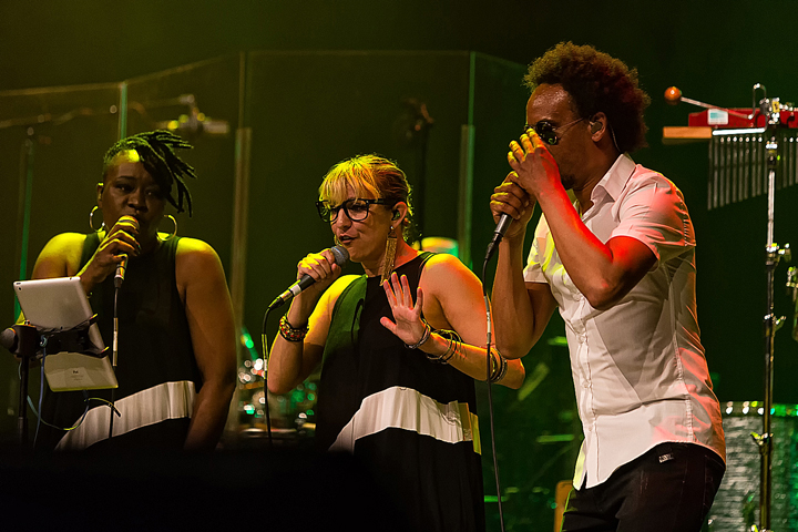 The Dinky Toys @ Capitole Gent, foto 26, foto's door Edwin Houdevelt - FrontView Magazine