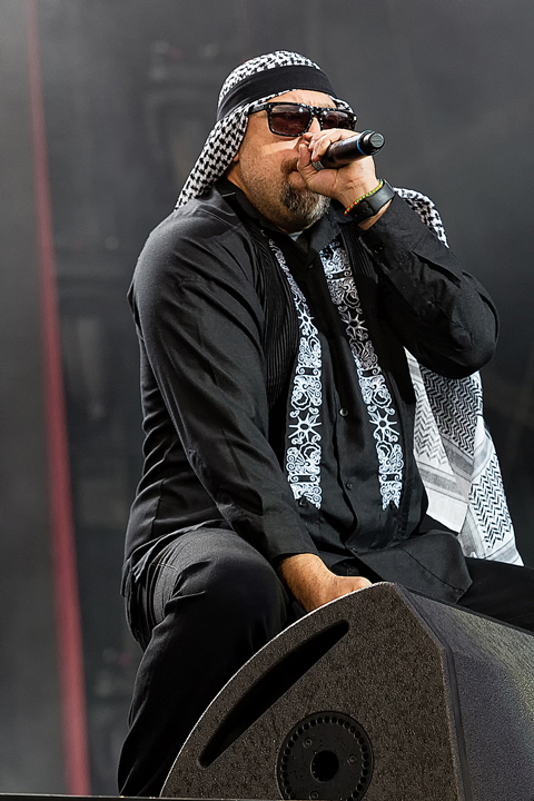 Prophets Of Rage @ Rock Am Ring 2017, picture 21, photographed by Edwin Houdevelt - FrontView Magazine