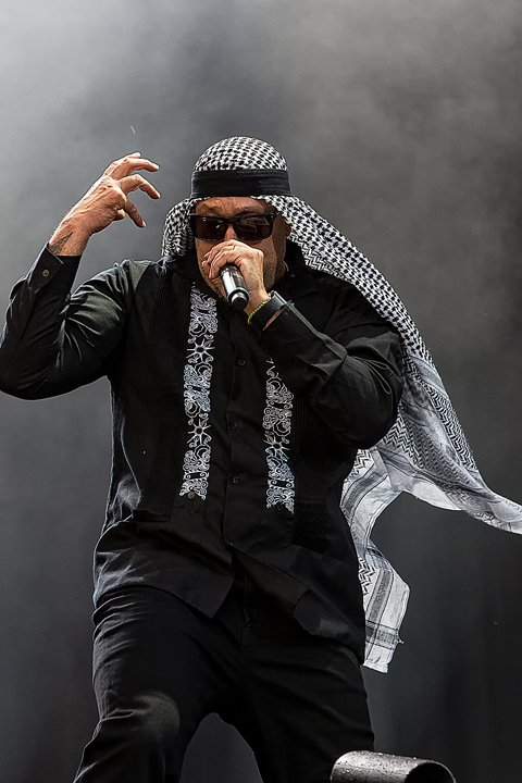 Prophets Of Rage @ Rock Am Ring 2017, picture 36, photographed by Edwin Houdevelt - FrontView Magazine