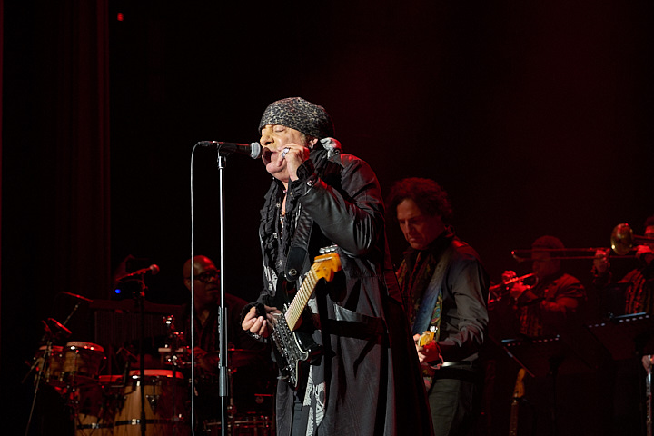 Little Steven and the Disciples of Soul @ De Roma, picture 11, photographed by James Van Roosbroeck - FrontView Magazine