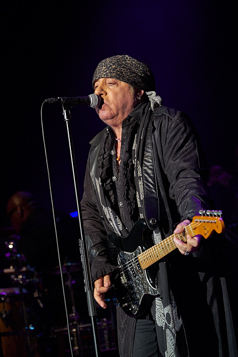 Little Steven and the Disciples of Soul @ De Roma, picture 12, photographed by James Van Roosbroeck - FrontView Magazine