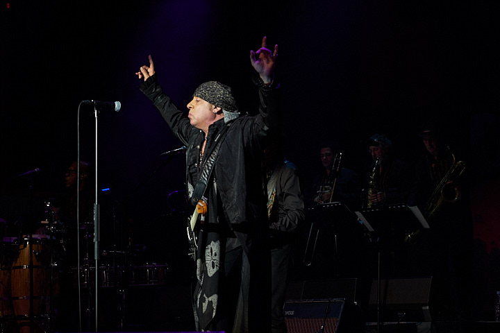 Little Steven and the Disciples of Soul @ De Roma, picture 13, photographed by James Van Roosbroeck - FrontView Magazine