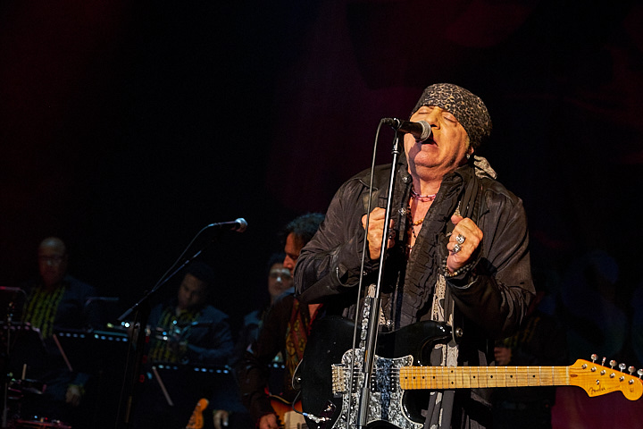 Little Steven and the Disciples of Soul @ De Roma, picture 24, photographed by James Van Roosbroeck - FrontView Magazine