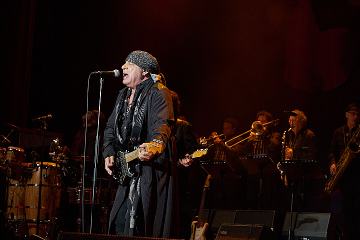 Little Steven and the Disciples of Soul @ De Roma, picture 26, photographed by James Van Roosbroeck - FrontView Magazine