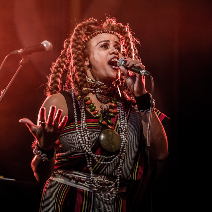 Brosella folk 2017 @ Groentheater Laken, picture 46, photographed by Raf Degeest - FrontView Magazine