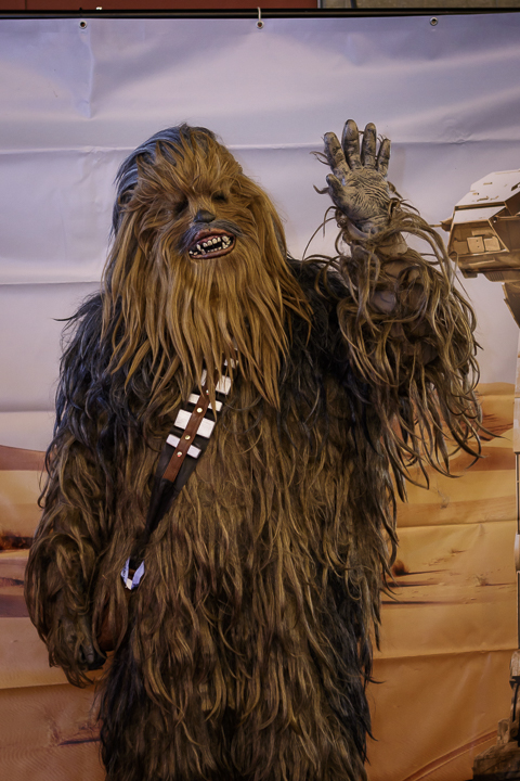 Comiccon @ ICC Ghent, picture 20, photographed by Alex Wyckmans - FrontView Magazine