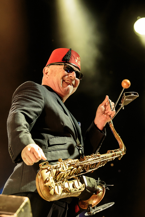 Madness @ Bospop 2017, foto 2, foto's door Dorien Goetschalckx - FrontView Magazine
