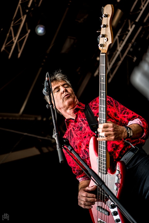 The Fleshtones @ Sjock, foto 8, foto's door Luc Luyten - FrontView Magazine