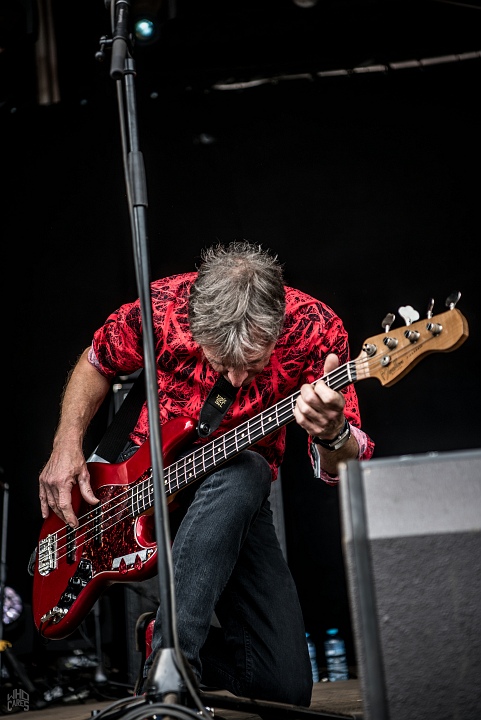 The Fleshtones @ Sjock, foto 14, foto's door Luc Luyten - FrontView Magazine