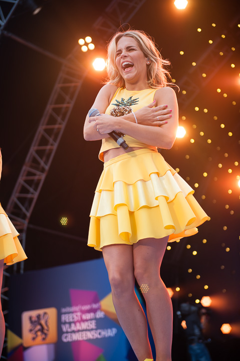 Vlaanderen Feest! 11 juli viering @ Antwerpen, picture 8, photographed by Dimitri Vanlommel - FrontView Magazine