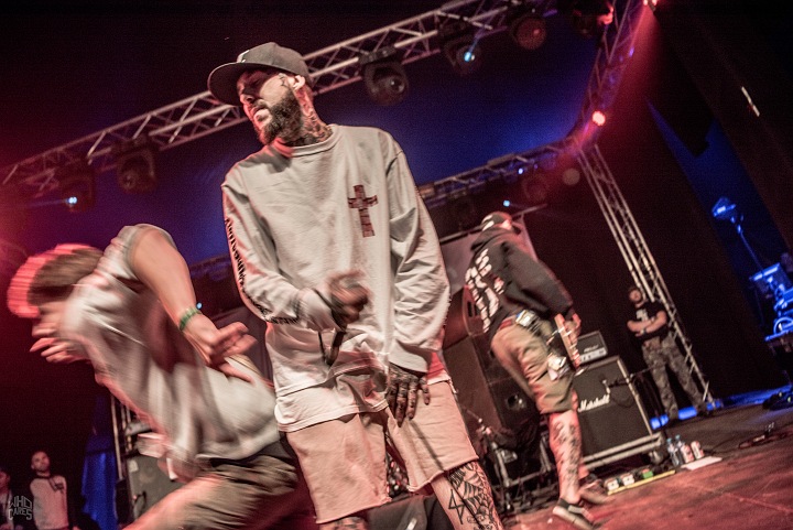 Deez Nutz @ Rock Herk, picture 2, photographed by Luc Luyten - FrontView Magazine