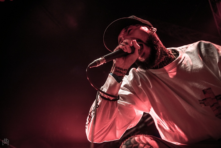 Deez Nutz @ Rock Herk, picture 5, photographed by Luc Luyten - FrontView Magazine