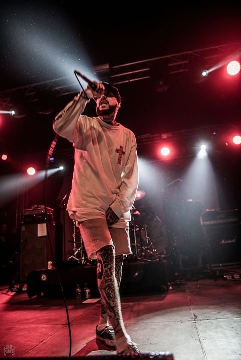 Deez Nutz @ Rock Herk, picture 9, photographed by Luc Luyten - FrontView Magazine