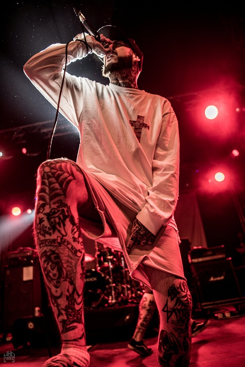 Deez Nutz @ Rock Herk, picture 11, photographed by Luc Luyten - FrontView Magazine