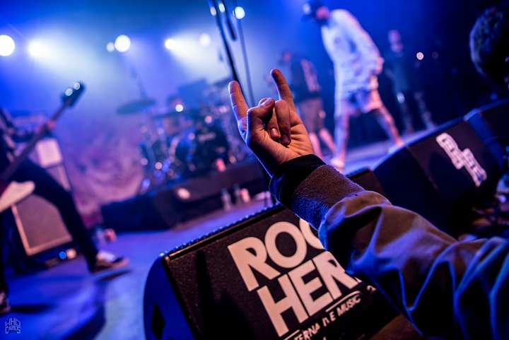 Deez Nutz @ Rock Herk, picture 20, photographed by Luc Luyten - FrontView Magazine
