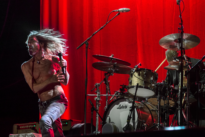 Iggy Pop @ Suikerrock, picture 4, photographed by Erwin Evrard - FrontView Magazine