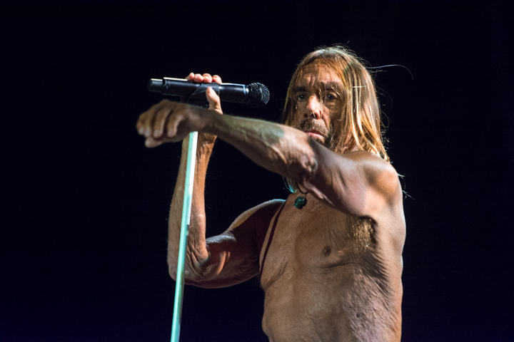 Iggy Pop @ Suikerrock, picture 6, photographed by Erwin Evrard - FrontView Magazine